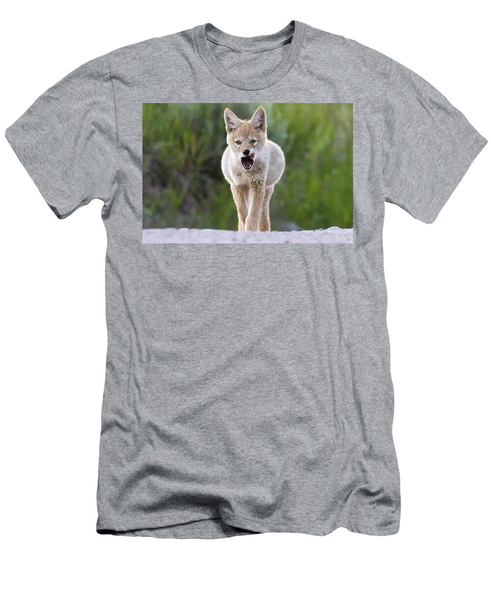Prowling Young Coyote with a Full Bellly Isabella Smedley Nature T-Shirt