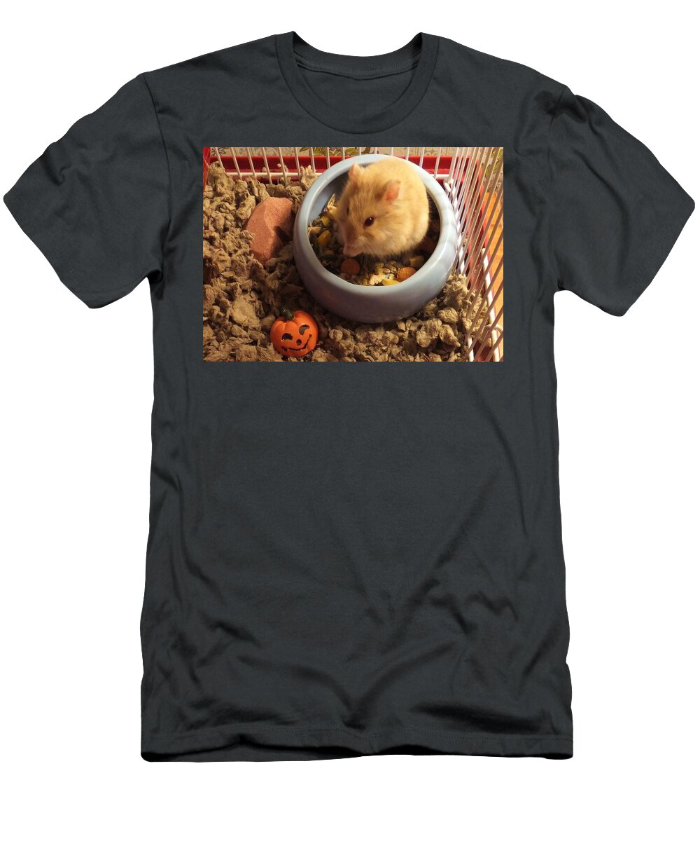 Pumpkin with Pumpkin Denise Fulmer T-Shirt