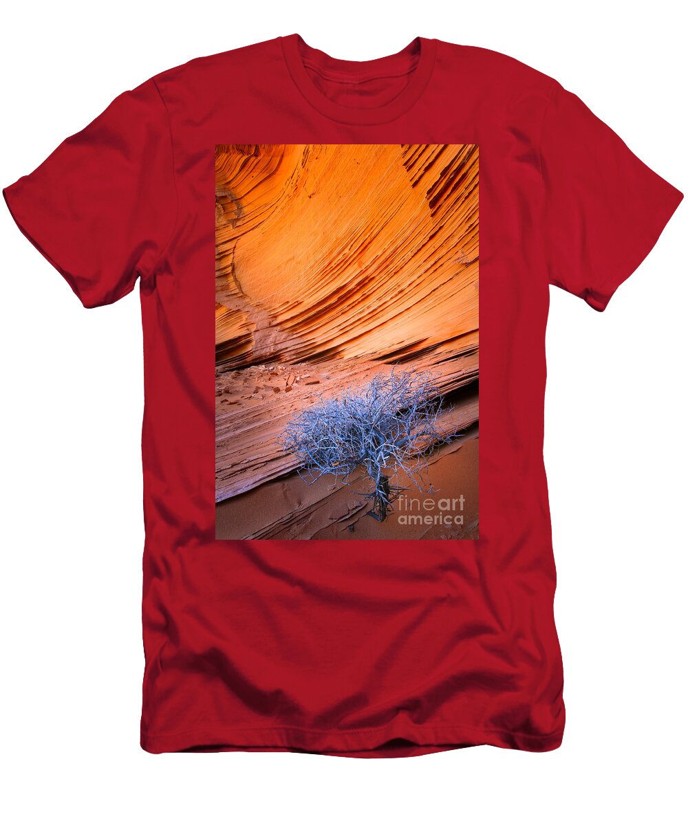 Rainbow Rocks Dead Bush 1 Inge Johnsson T-Shirt