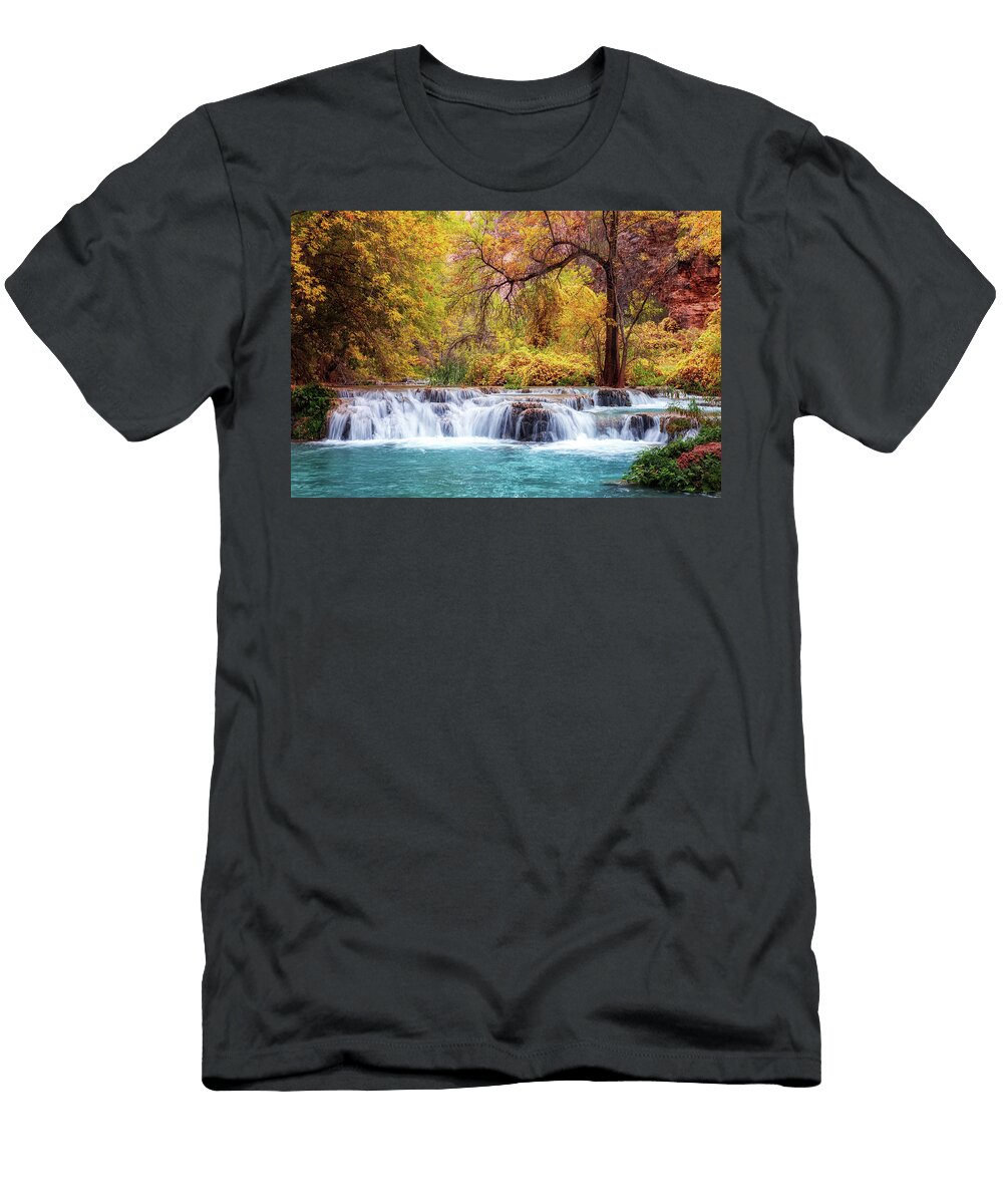 Rapid At Havasu Creek and Fall Colors Alex Mironyuk T-Shirt