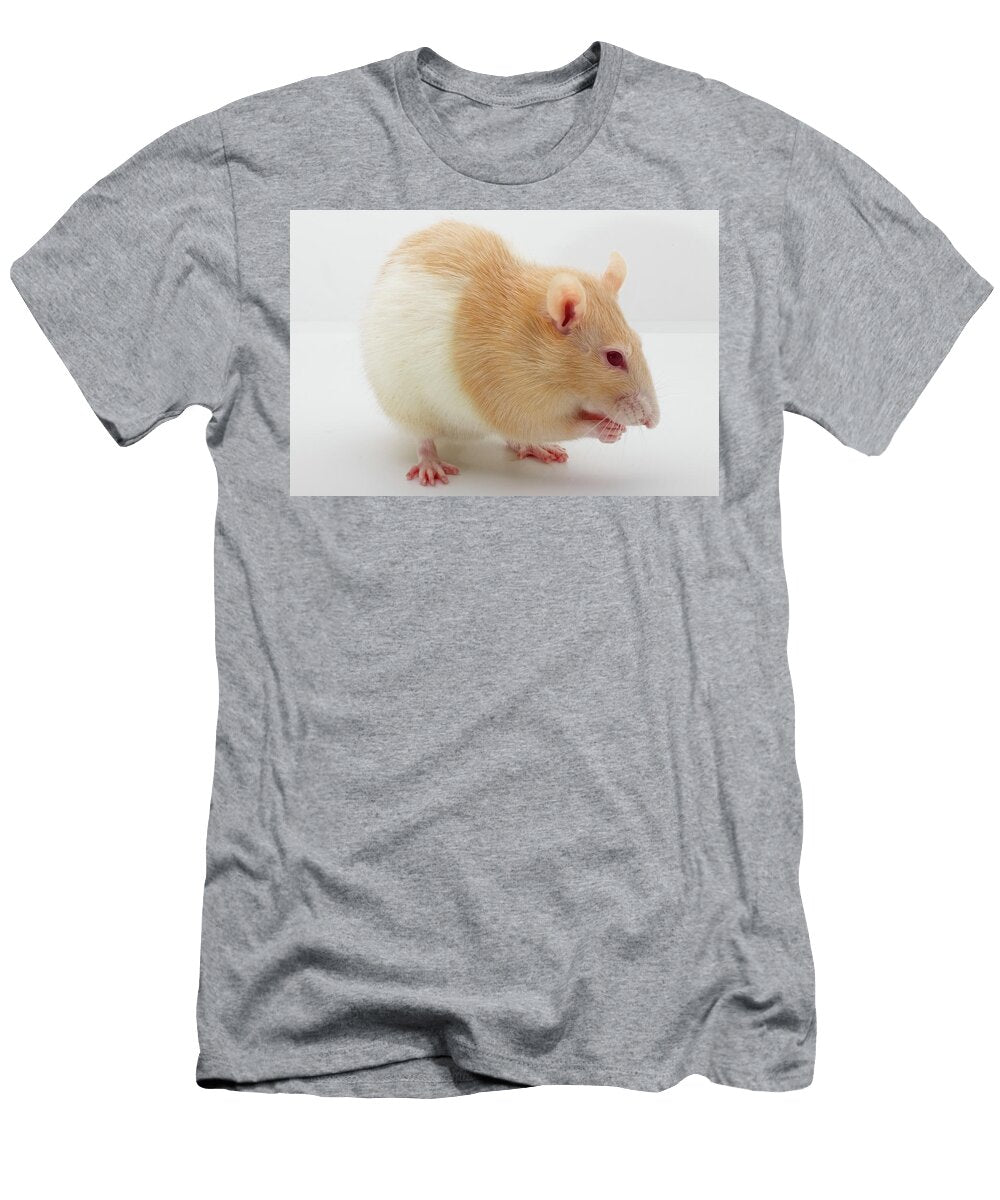 Rat on a White Background Andrey Buriakov T-Shirt