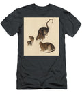 Rats John James Audubon T-Shirt