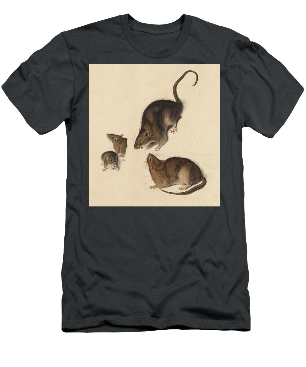 Rats John James Audubon T-Shirt