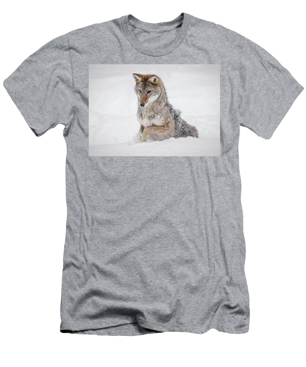 Ready to Pounce Athena Mckinzie T-Shirt