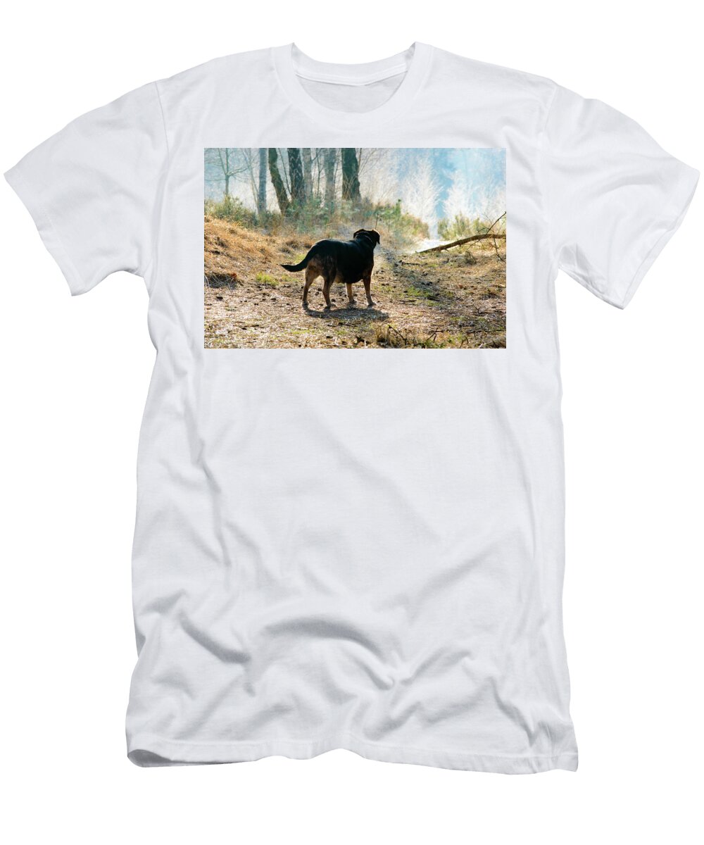 Rear View of Dog on Path Near Branch Johan Ferret T-Shirt