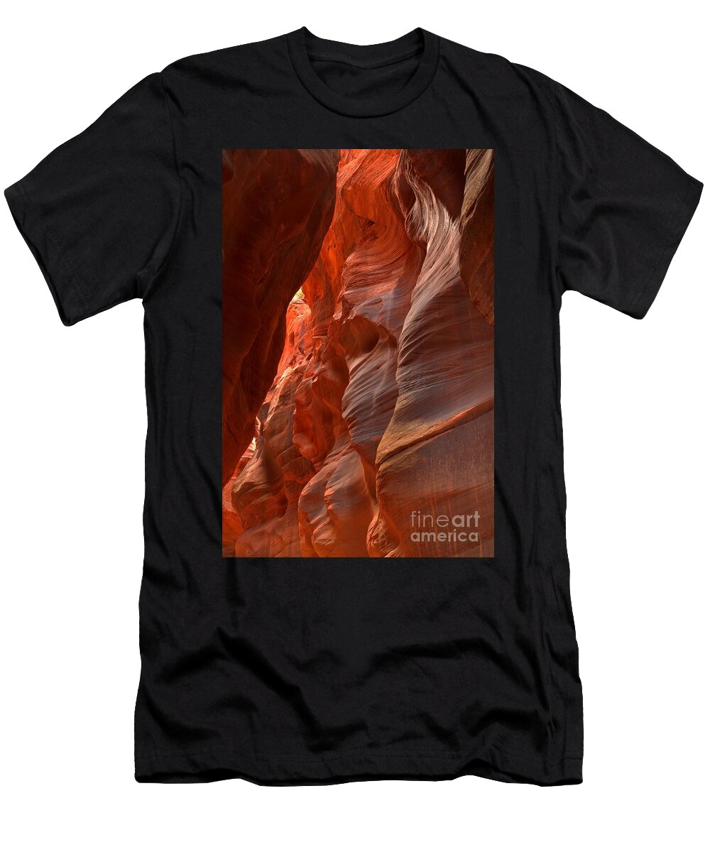 Red and Brown Swirling Sandstone Adam Jewell T-Shirt