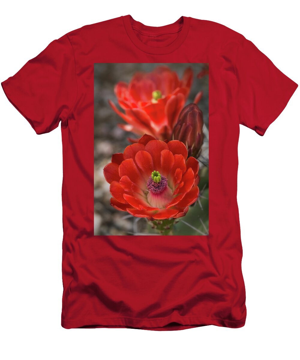Red Hot Beauty Saija Lehtonen T-Shirt