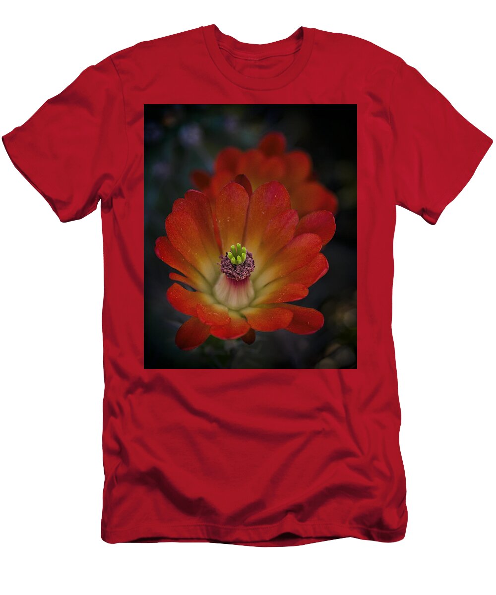 Red Hot Hedgehog Cactus Saija Lehtonen T-Shirt