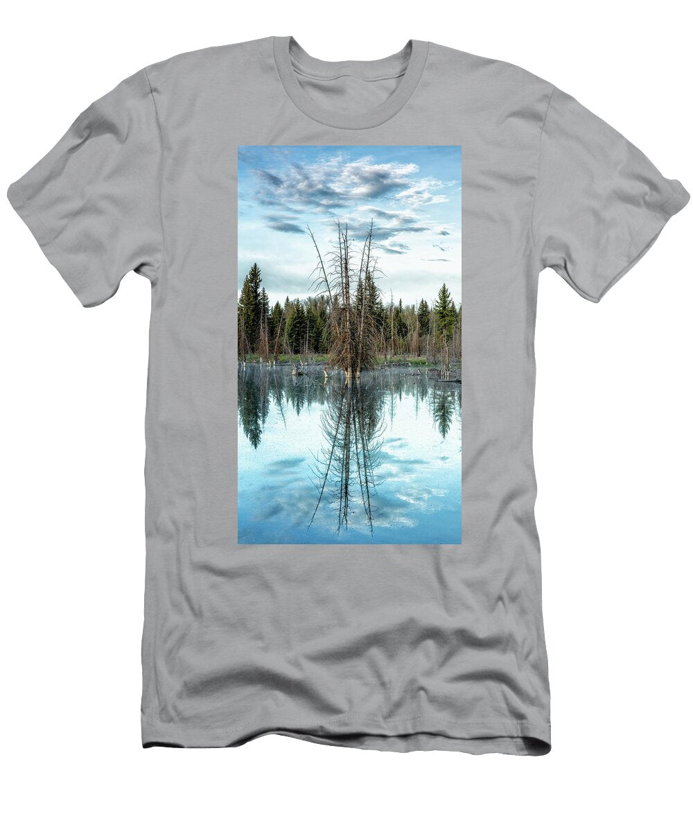 Reflect Grand Teton National Park Stephen Stookey T-Shirt