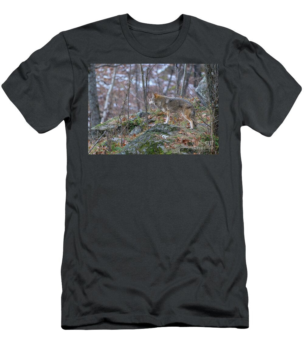 Reflecting Nina Stavlund T-Shirt