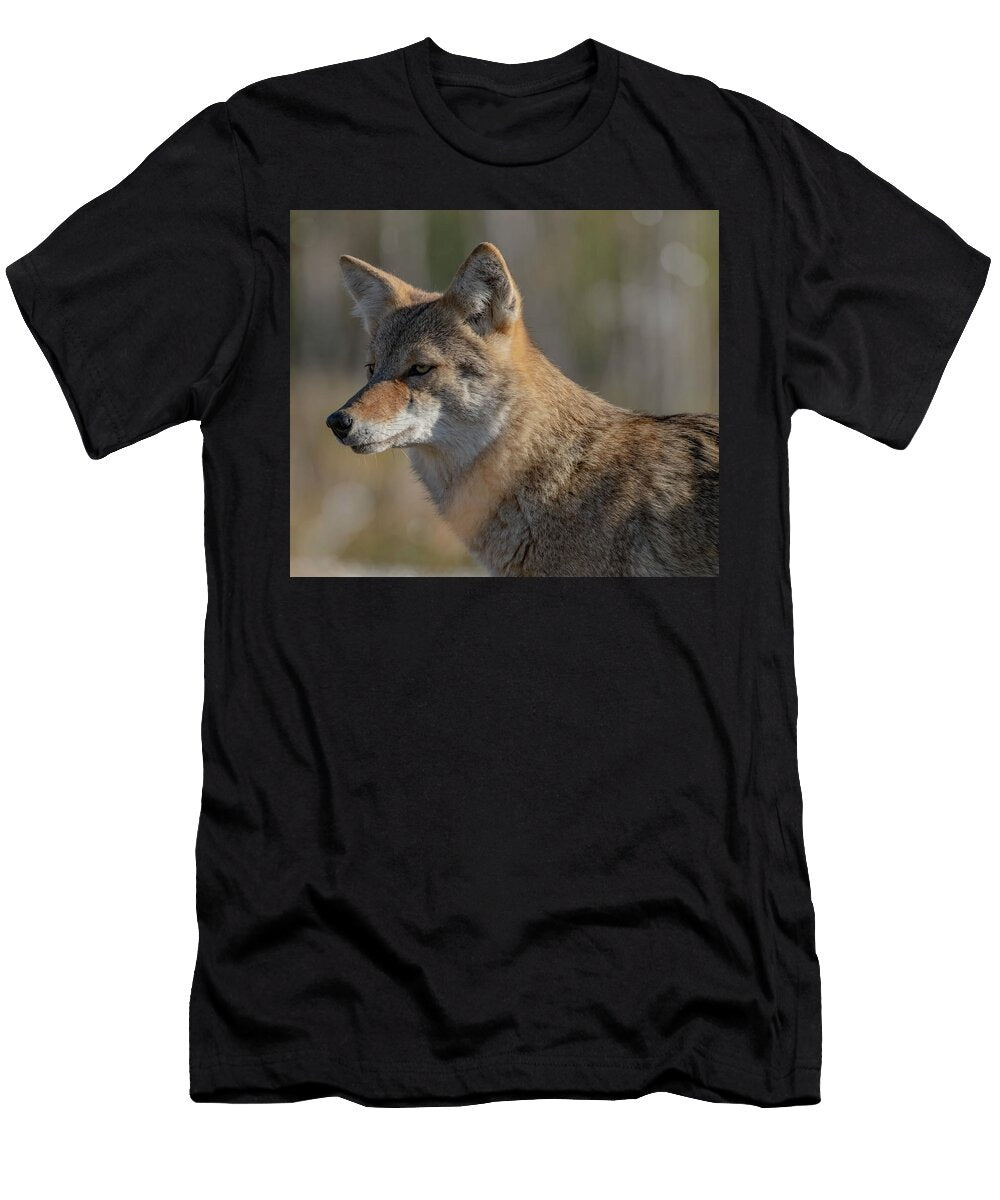 Reflective Coyote Fur and Feathers Photography T-Shirt