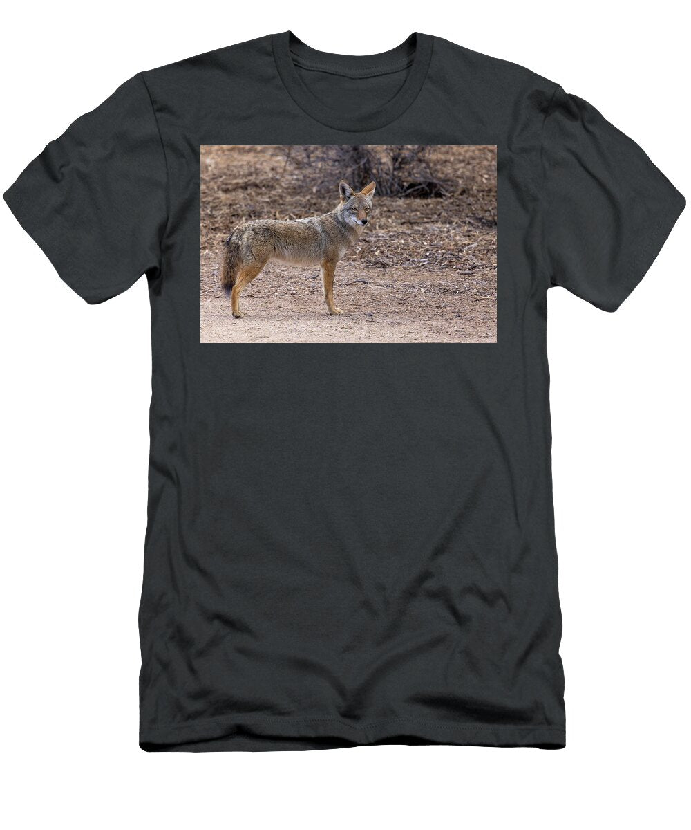 Regal Coyote Sue Cullumber T-Shirt