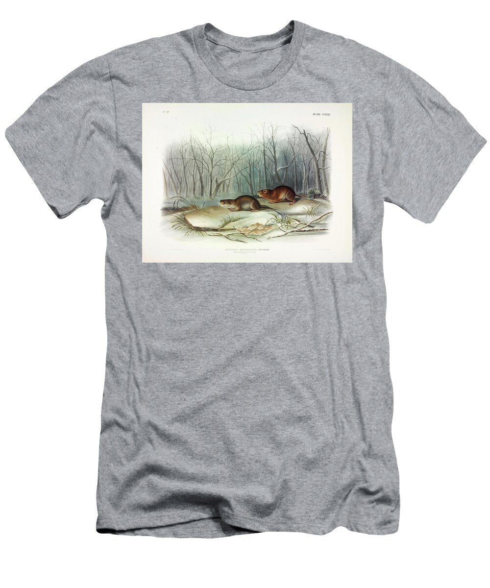 Richardsons Meadow Mouse John James Audubon T-Shirt