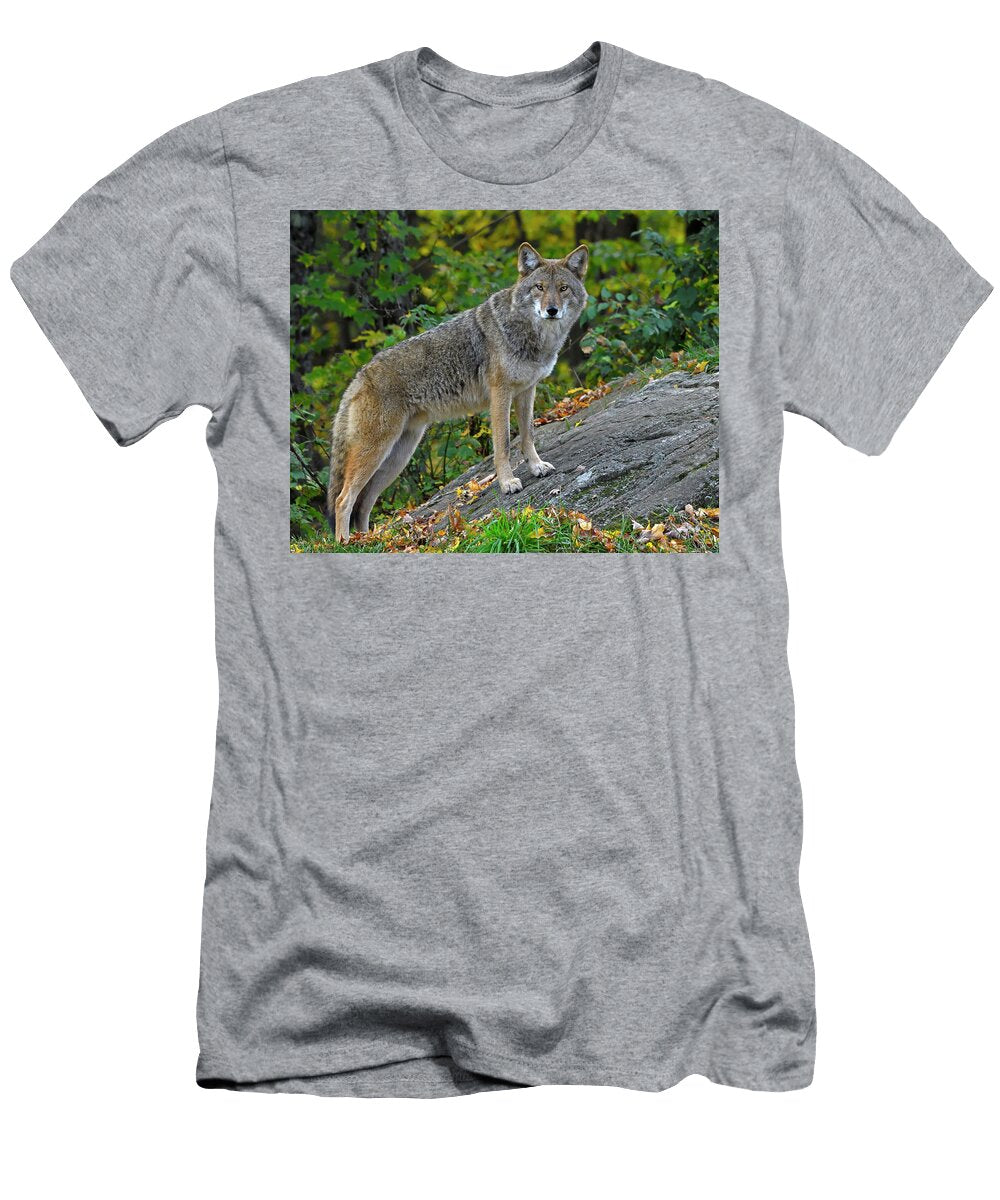 Right Angle Tony Beck T-Shirt