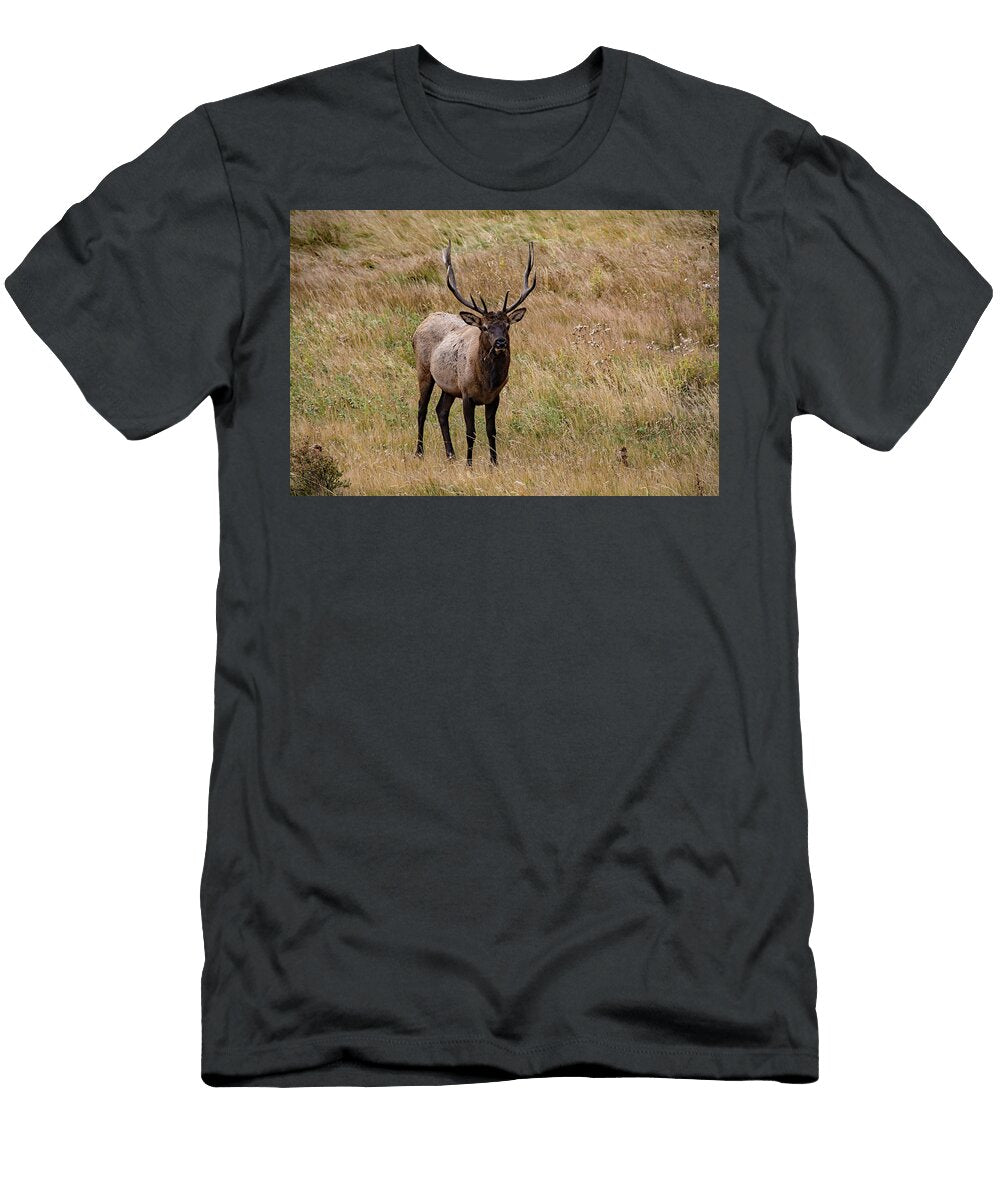 Rocky Mountain Elk Ben Prepelka T-Shirt