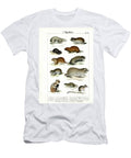 Rodents and Their Morphological Adaptations 1851 Lithography C Roth T-Shirt