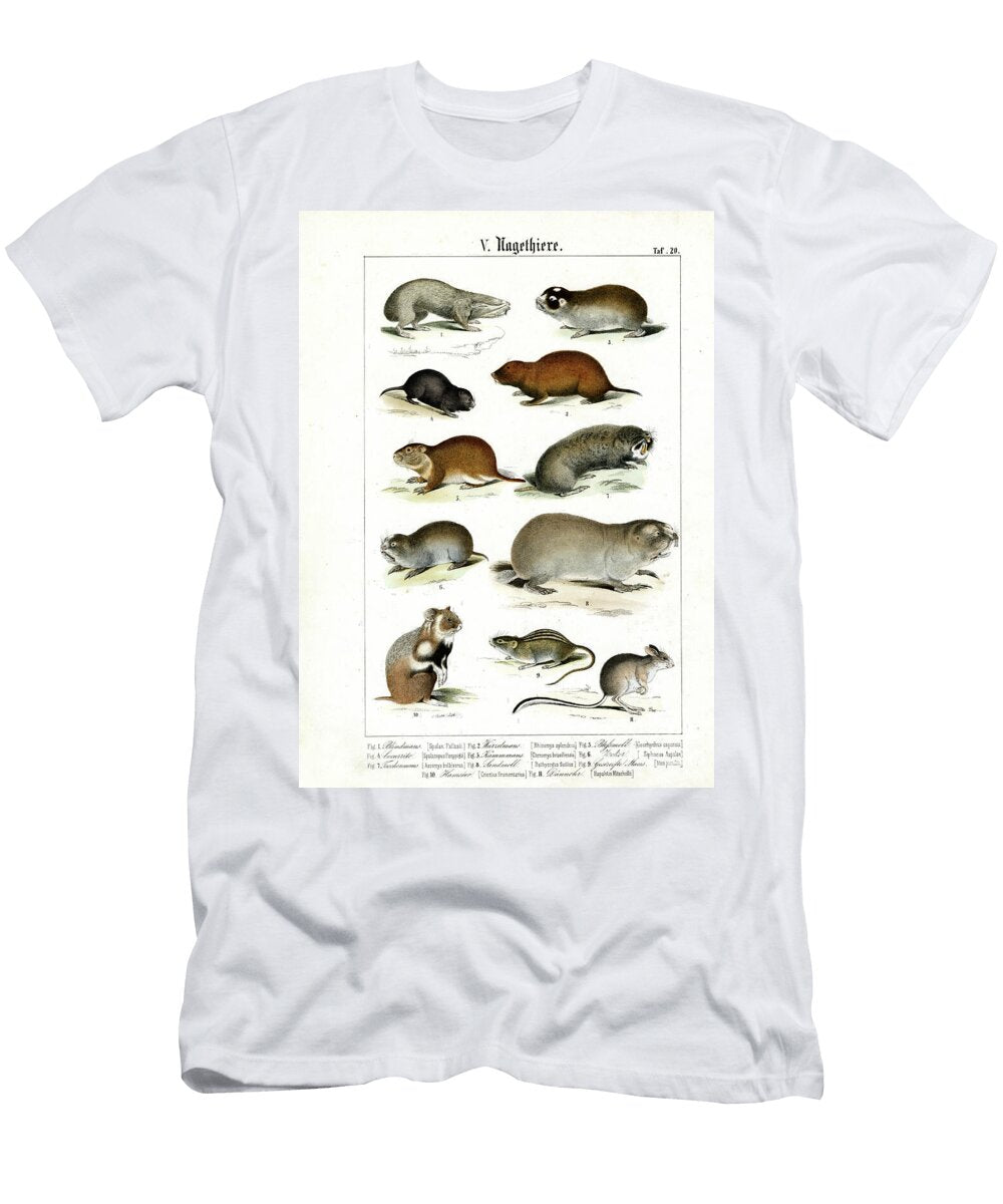 Rodents and Their Morphological Adaptations 1851 Lithography C Roth T-Shirt