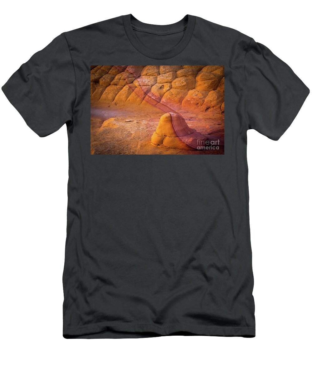 Sandstone Snail Inge Johnsson T-Shirt