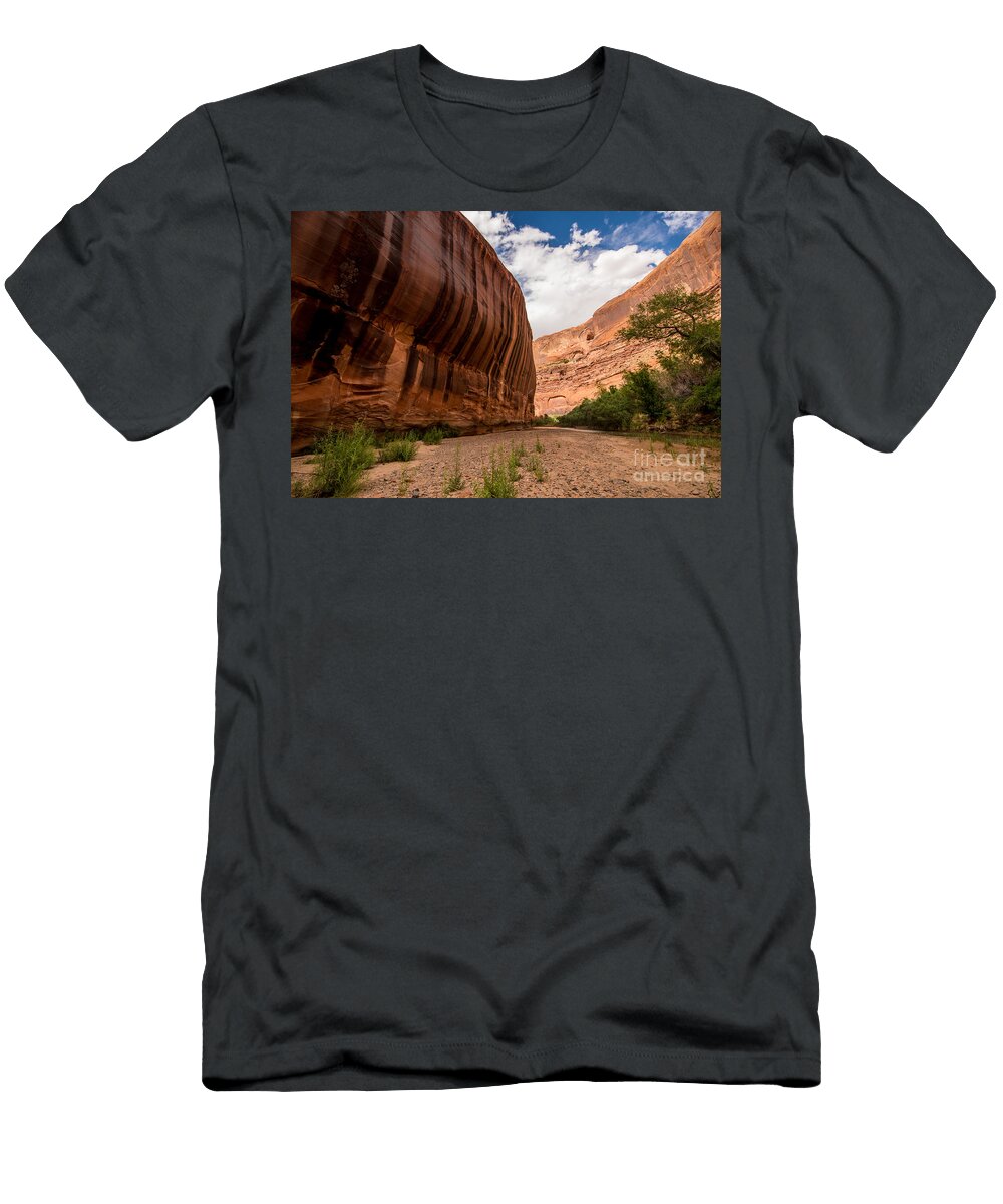 Sandstone Varnish Cliff Coyote Gulch Utah Gary Whitton T-Shirt