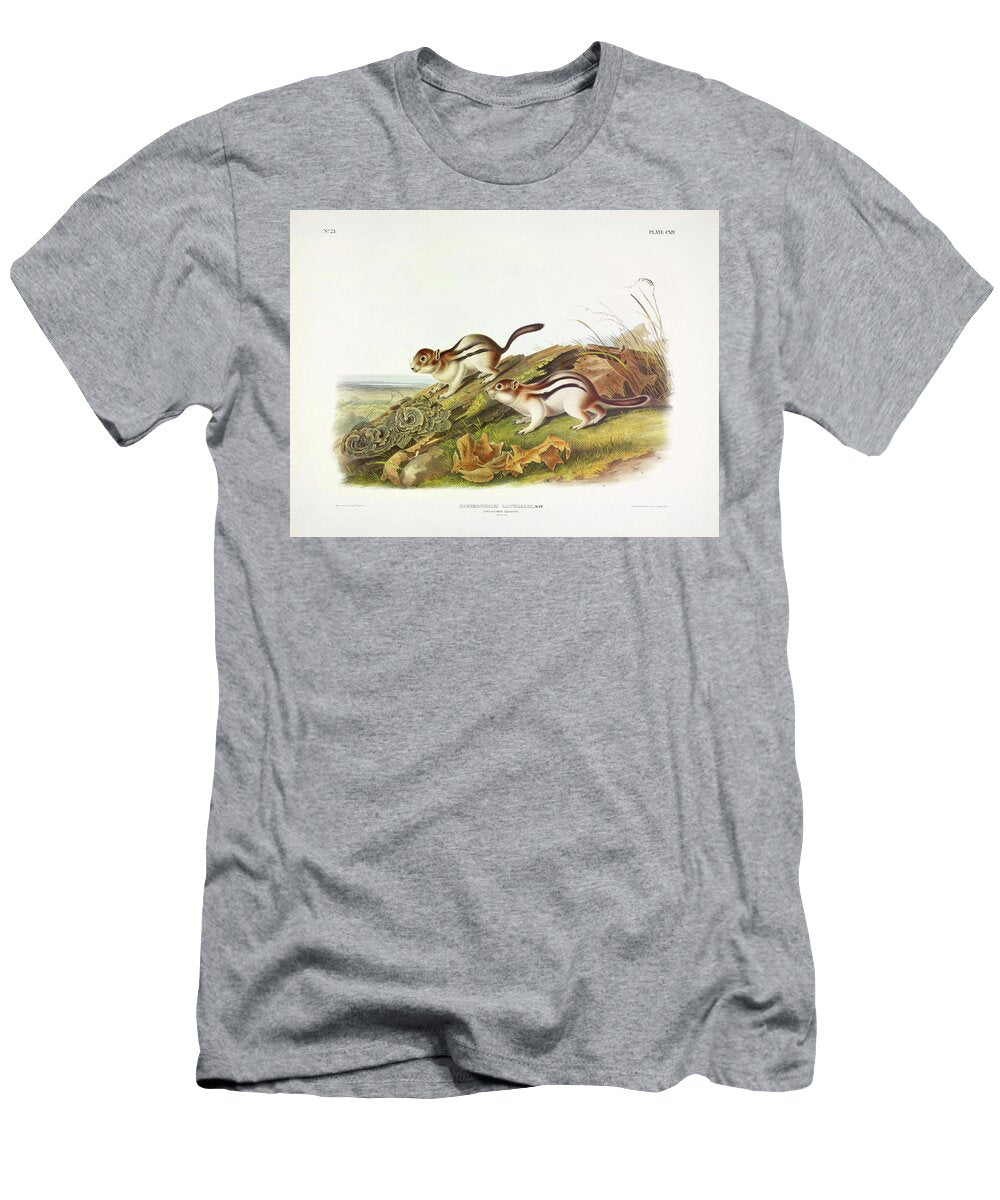 Says Marmot Squirrel John James Audubon T-Shirt