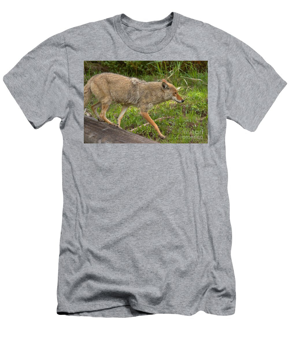 Scampering Off the Log Adam Jewell T-Shirt