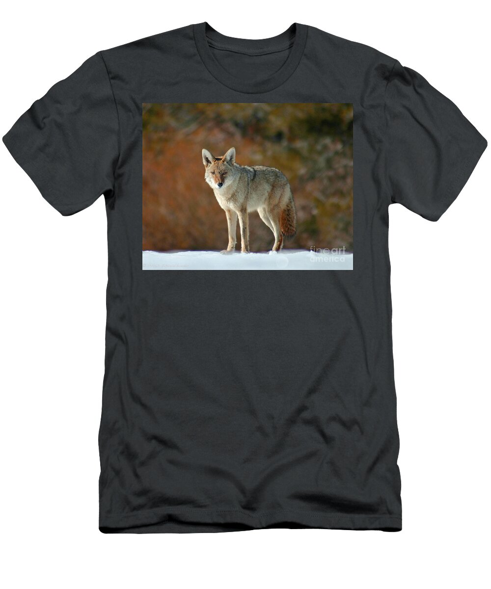 Scarface Mitch Shindelbower T-Shirt