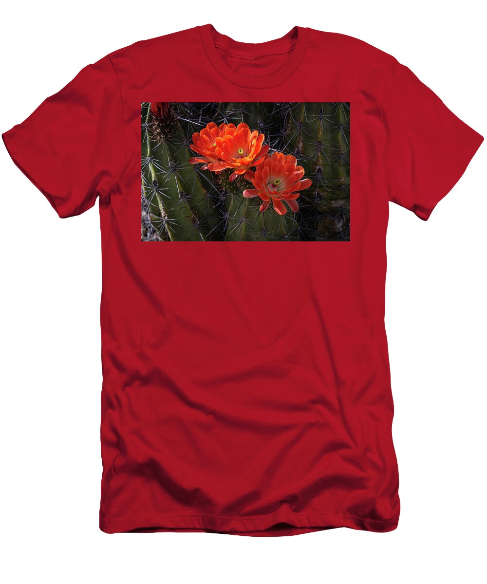 Scarlet Hedgehog Cactus Linda Unger T-Shirt