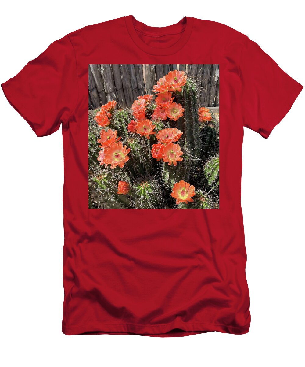 Scarlet Hedgehog Cactus Spring Blooms in Santa Fe New Mexico Rebecca Herranen T-Shirt