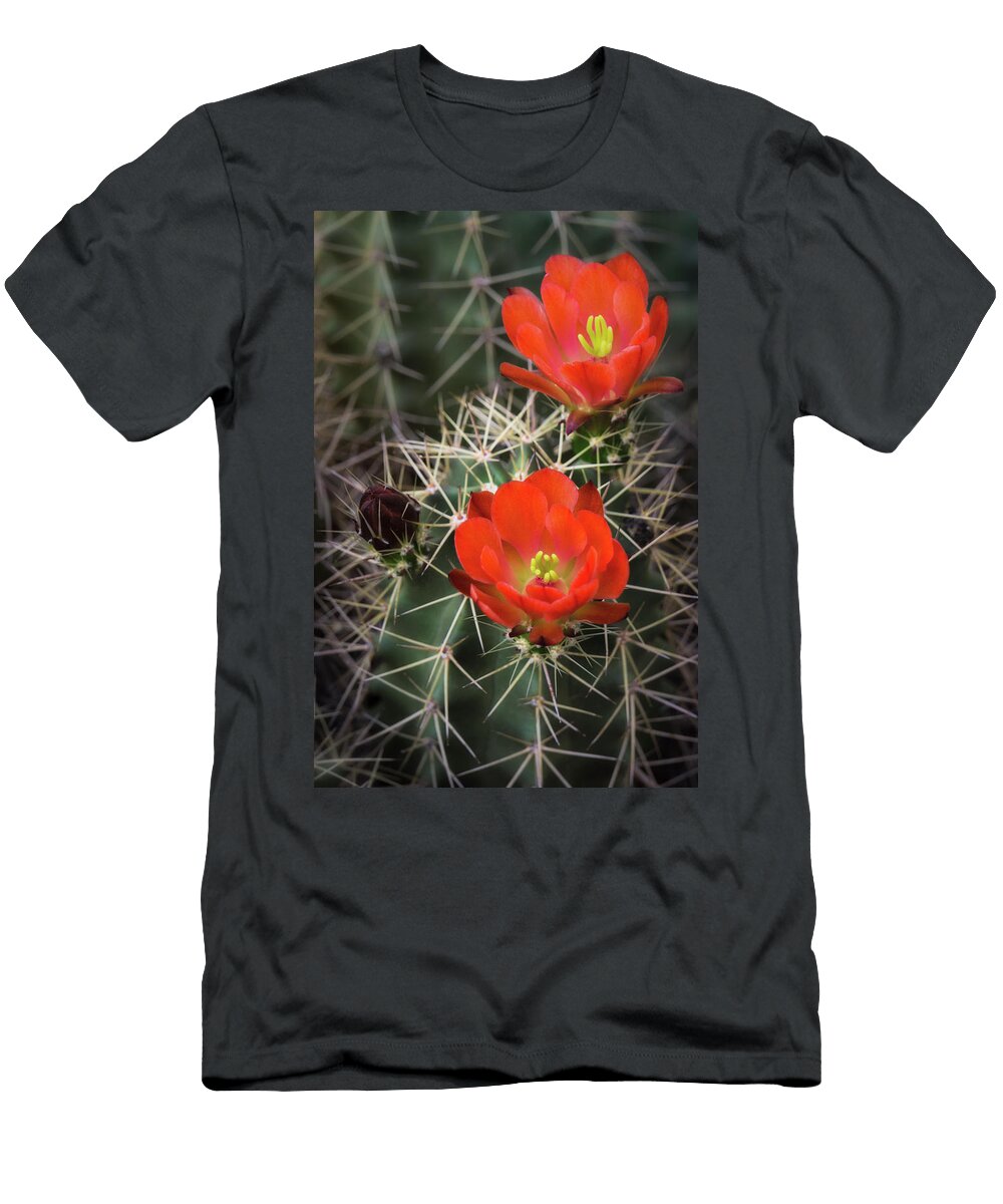 Scarlet Hedgehog Saija Lehtonen T-Shirt