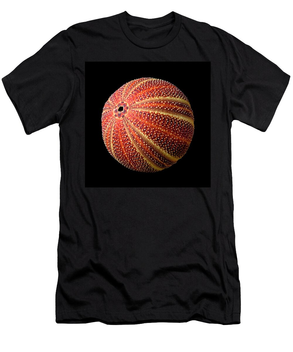 Sea Urchin 2 Jim Hughes T-Shirt