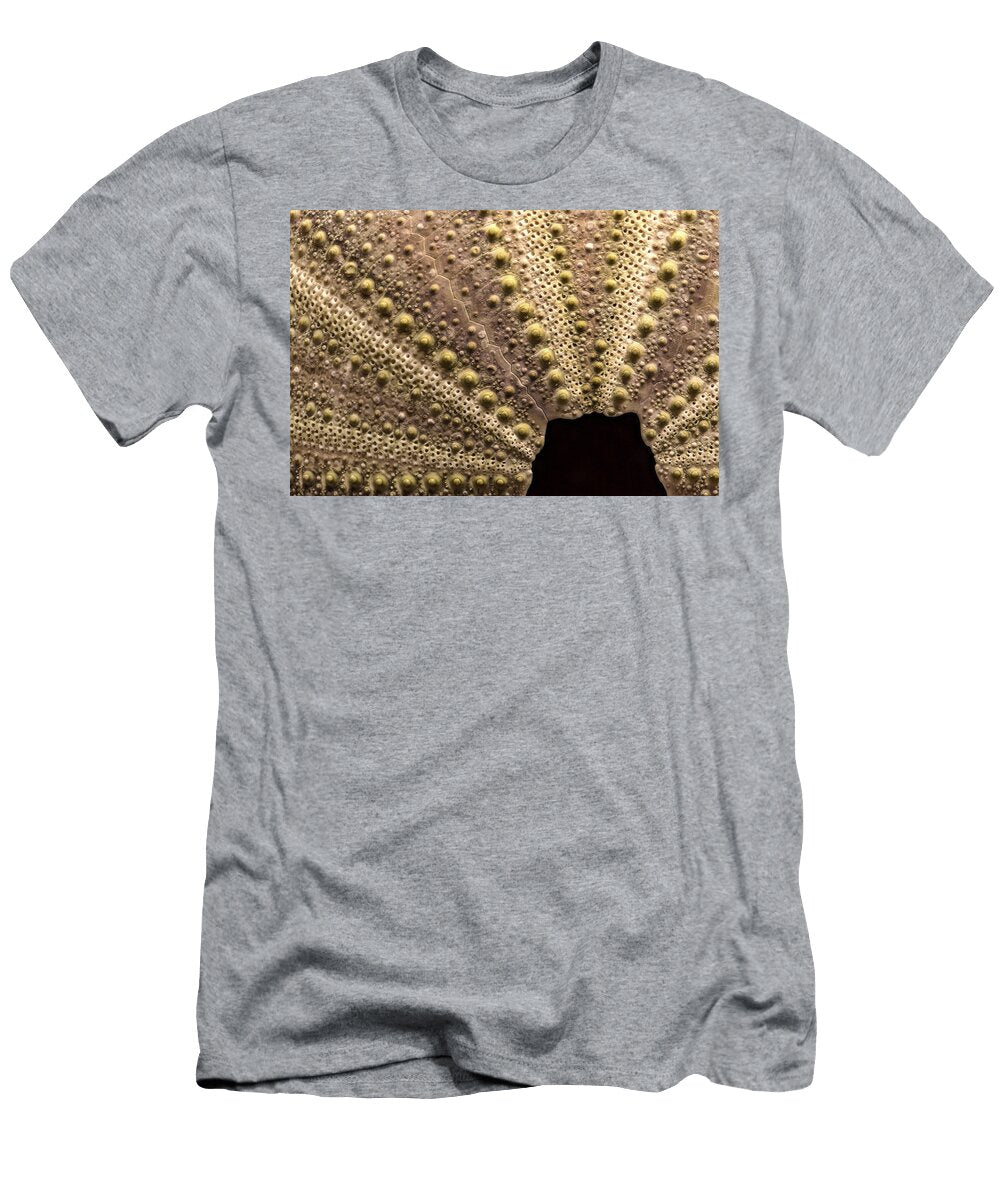 Sea Urchin Skeleton Design Jean Noren T-Shirt
