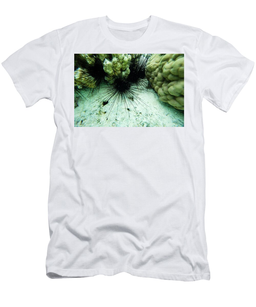 Sea Urchins Underwater Tahiti French T-Shirt