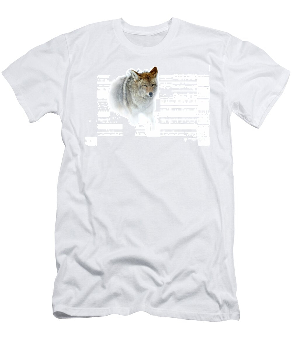 Secrets of the Wind Deby Dixon T-Shirt