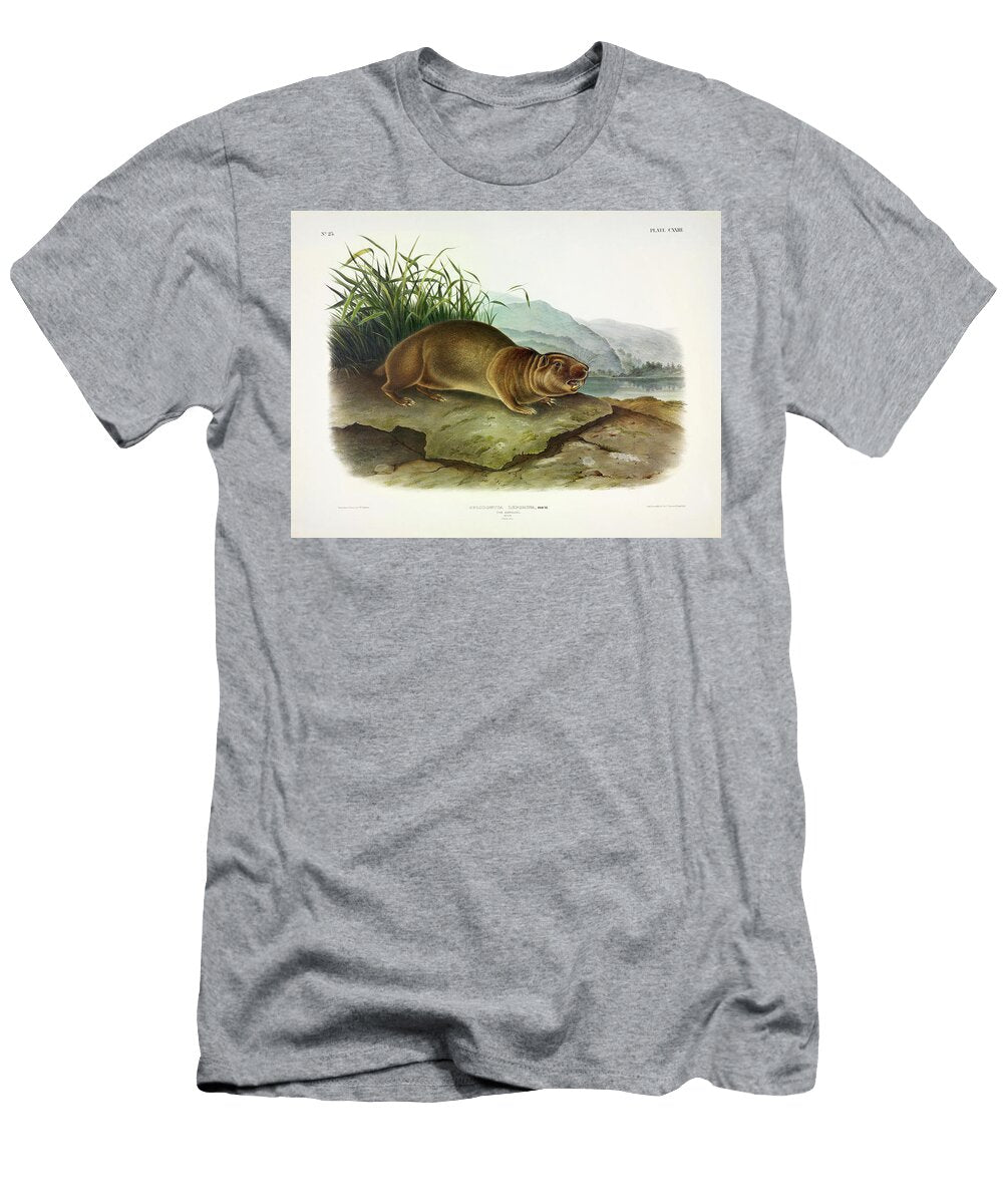 Sewellel Beaver John James Audubon T-Shirt