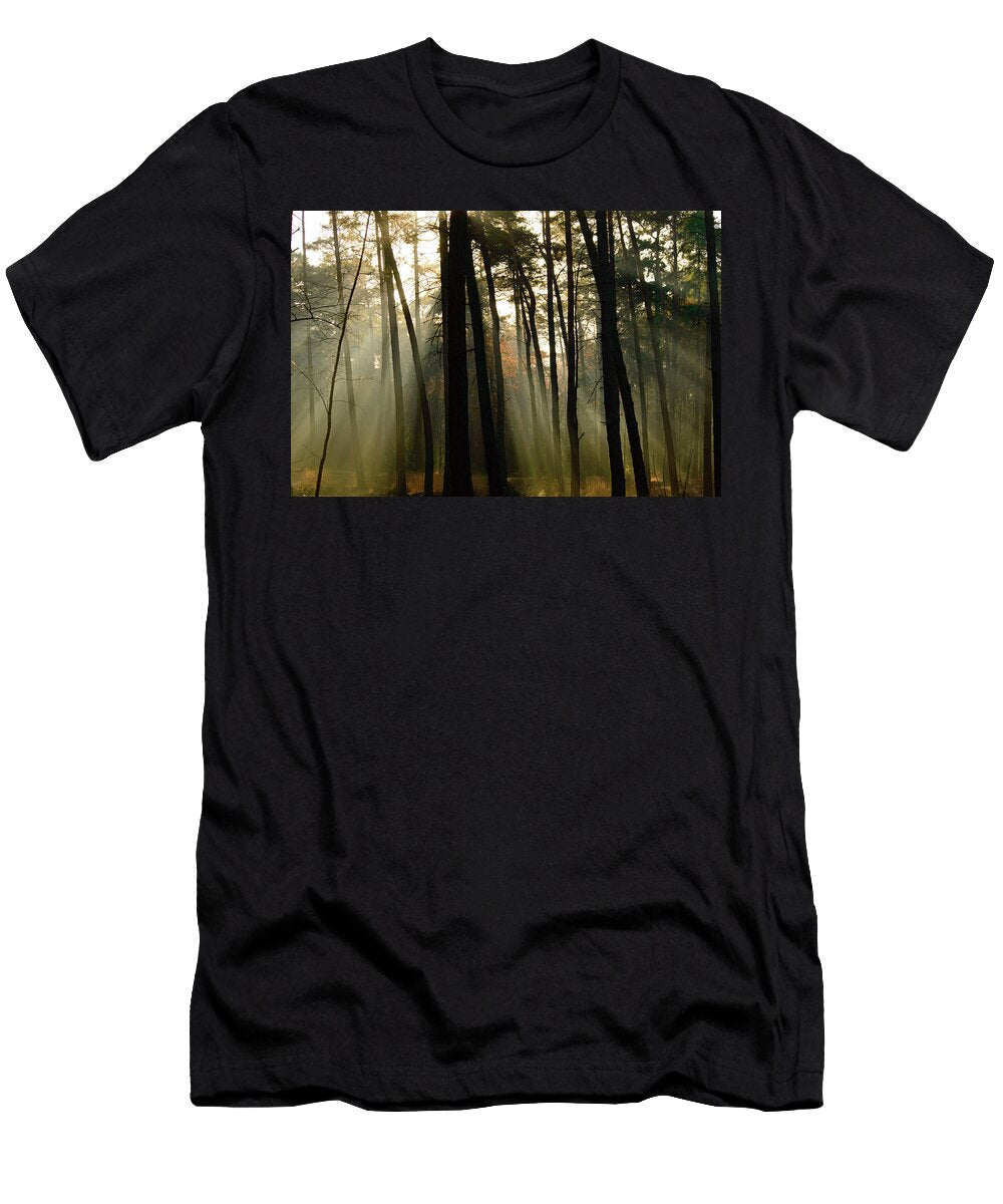 Shadows From Trees and Calm Sunlight in Forest Johan Ferret T-Shirt