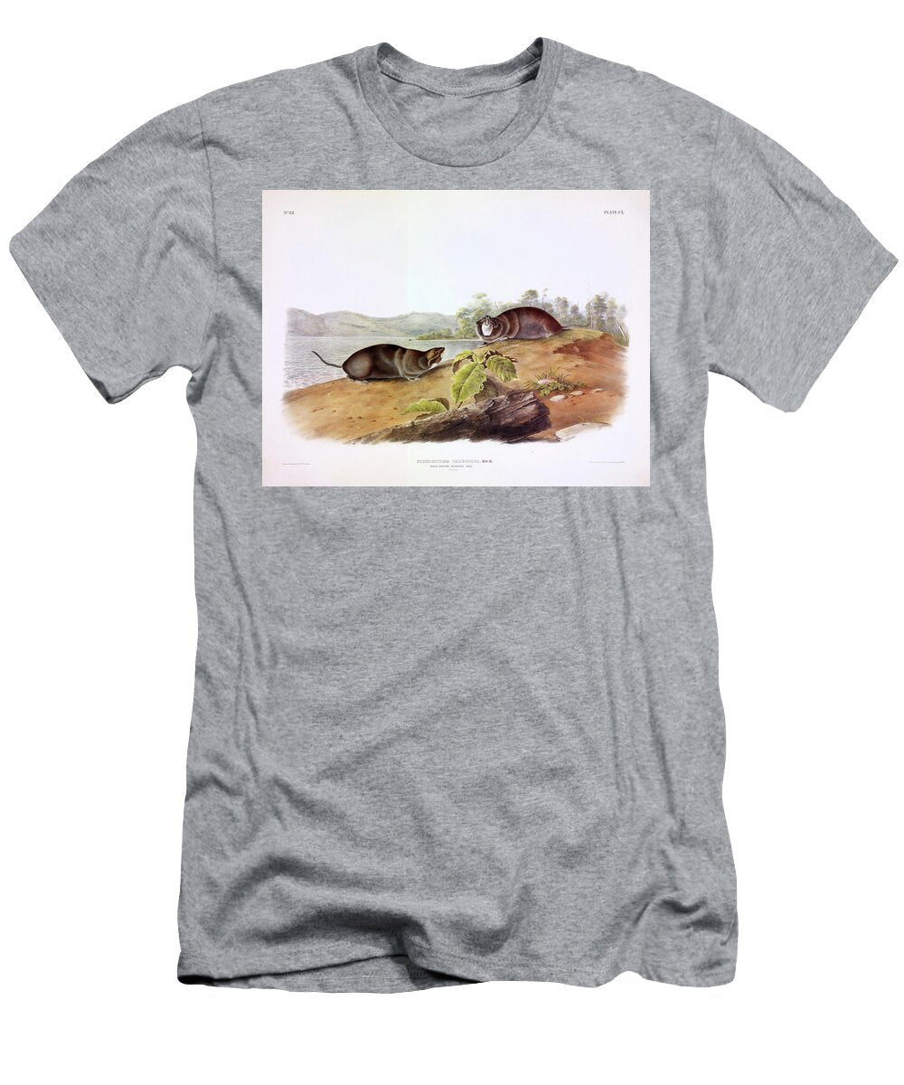 Shaped Pouched Rat John James Audubon T-Shirt