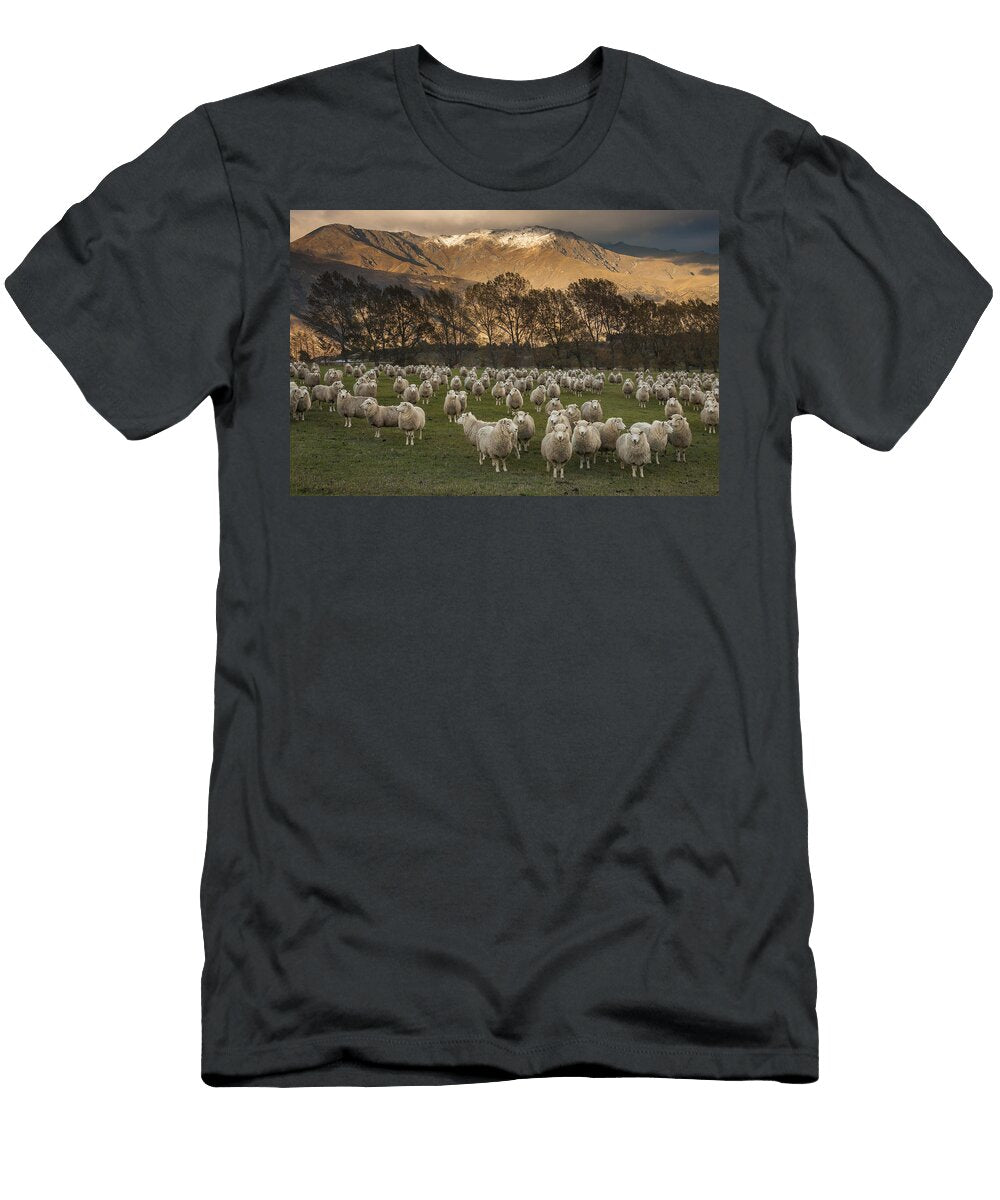 Sheep Flock At Dawn Arrowtown Otago New Colin Monteath Hedgehog House T-Shirt