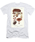 Shingled Hedgehog Sarcodon Imbricatus Hydnum Imbricatum Zoned Hydnellum European School T-Shirt