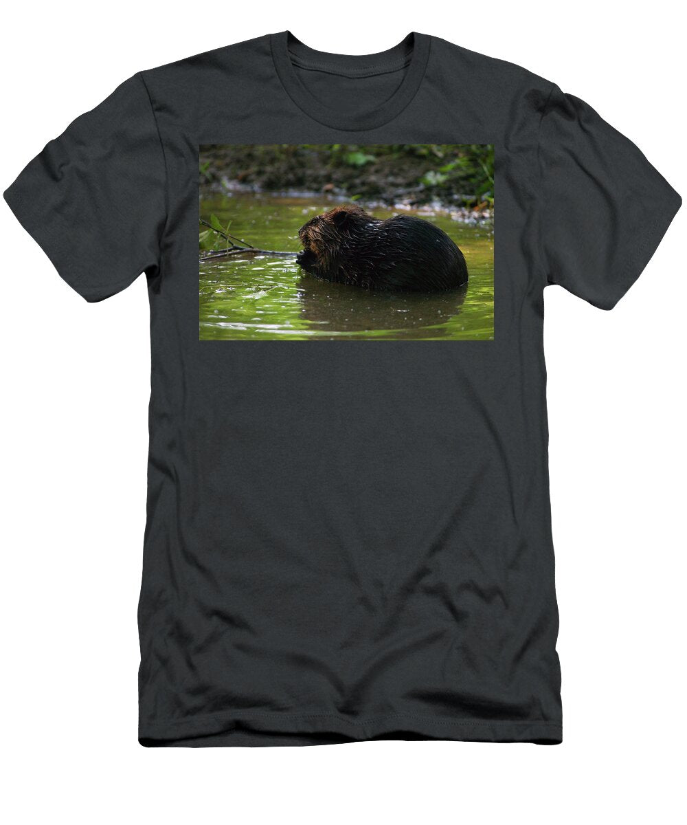 Side View of American Beaver Castor Animal Images T-Shirt