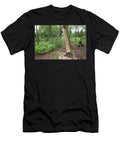 Silver Birch Tree Damage Caused By Beaver Bamff Estate Scotland the Big Picture Natureplcom T-Shirt