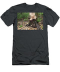 Silver Birch Tree Damaged By Beavers Bamff Estate Scotland the Big Picture Natureplcom T-Shirt