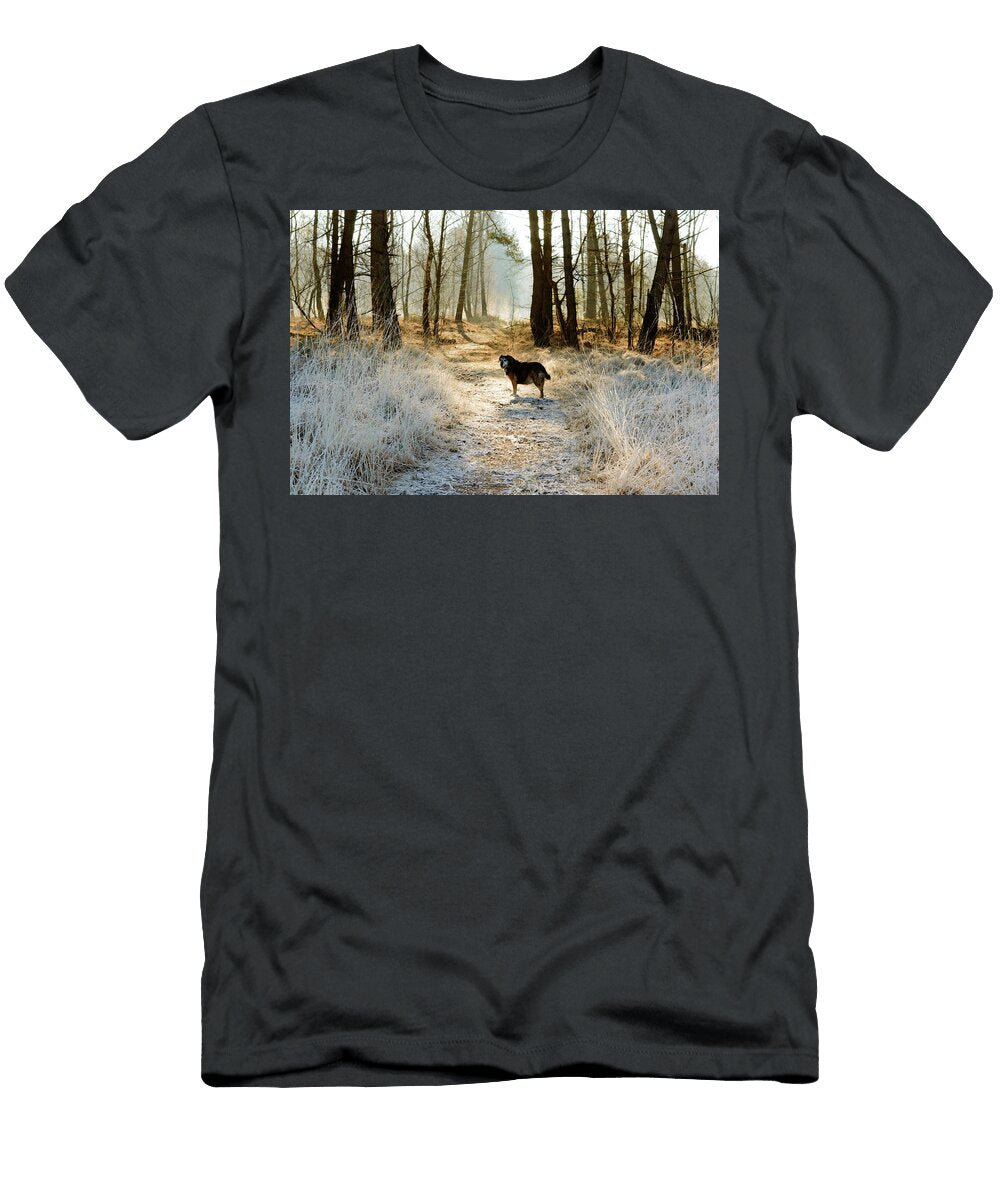 Single Dog Waiting Ahead in Path Covered By Frost Johan Ferret T-Shirt