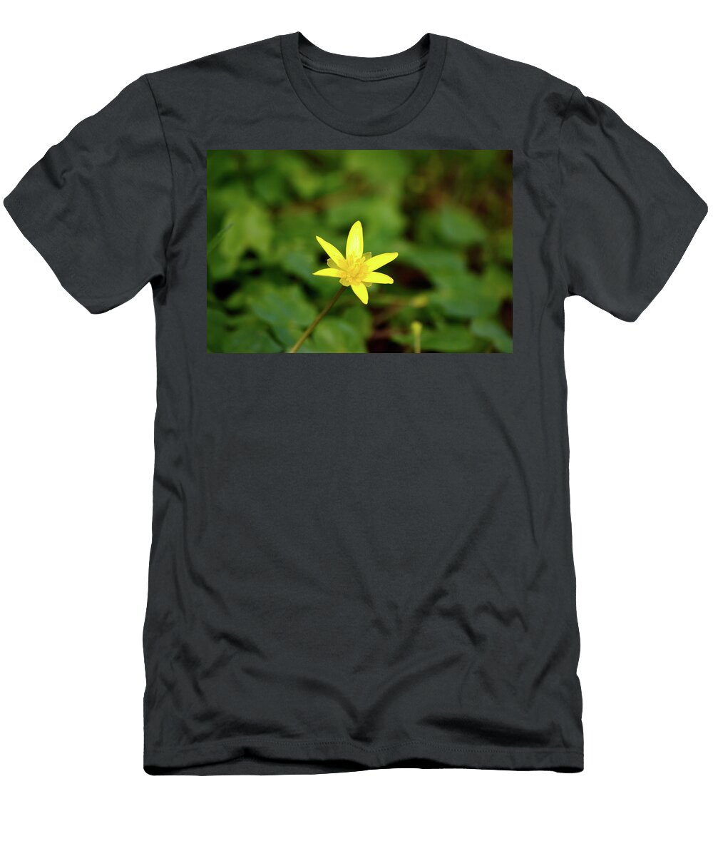 Single Yellow Flower Sticking Up with Copy Space Johan Ferret T-Shirt