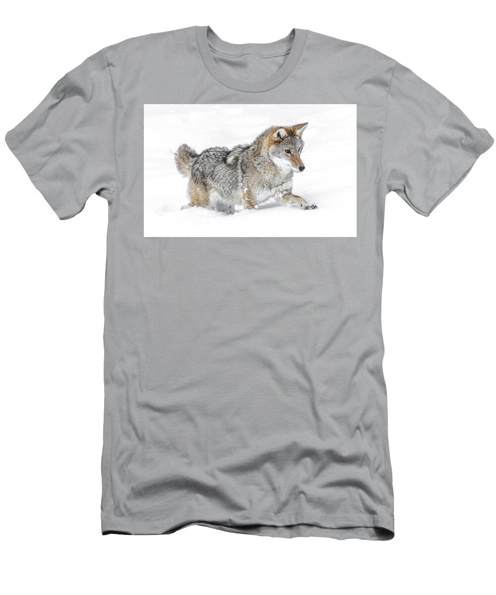 Sinking Coyote Athena Mckinzie T-Shirt