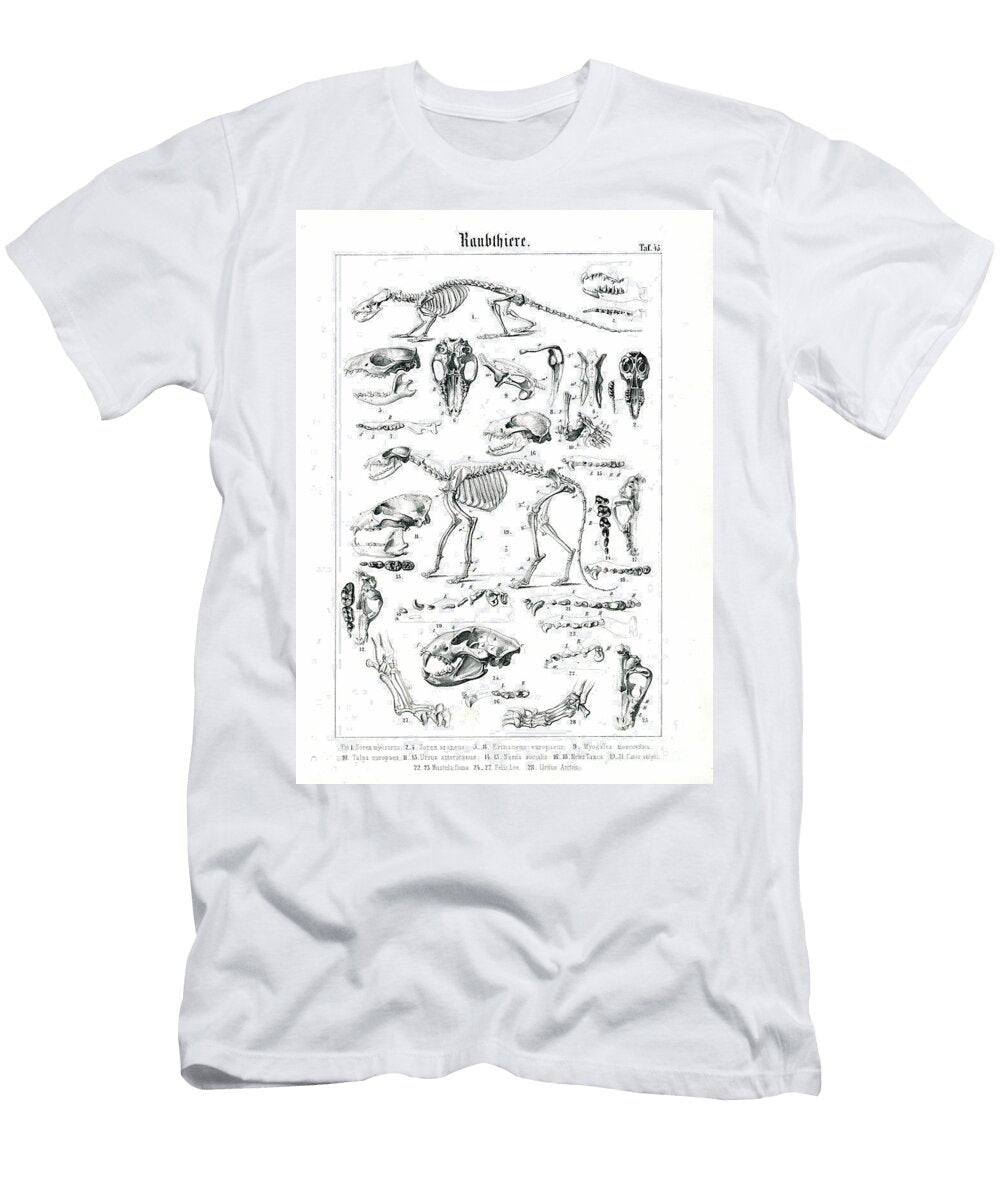Skeletons and Skulls of Carnivores 1851 Lithography C Roth T-Shirt