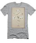 Sketches of a Donkey and Birds Helen Allingham T-Shirt