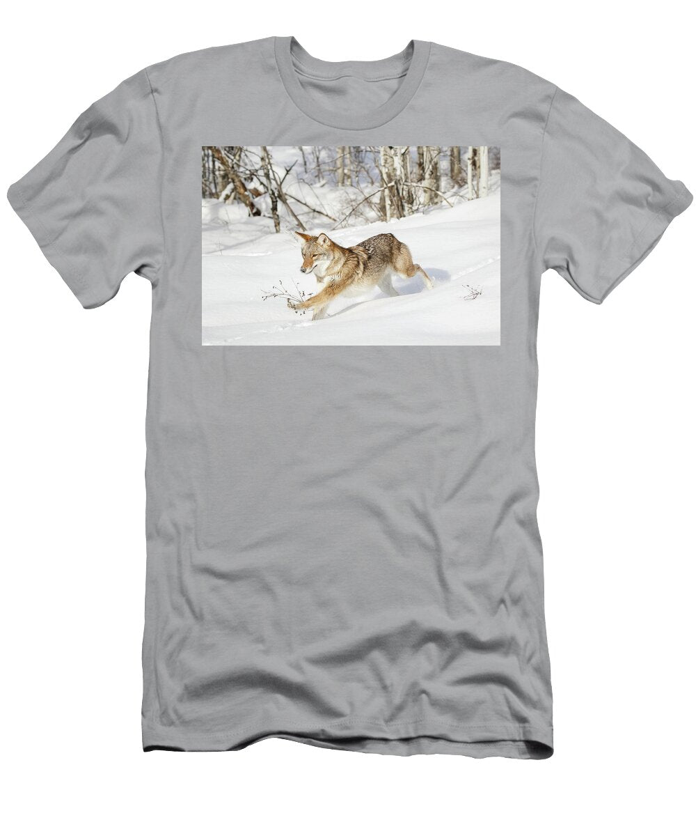 Skiing Down the Mountain Athena Mckinzie T-Shirt