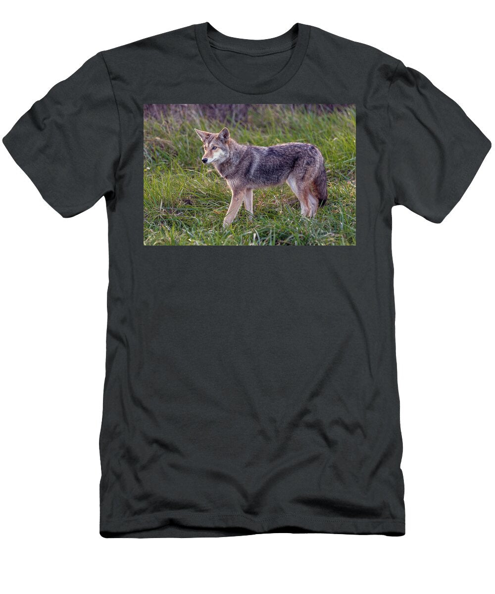 Smoky Mountain Coyote Eric Albright T-Shirt