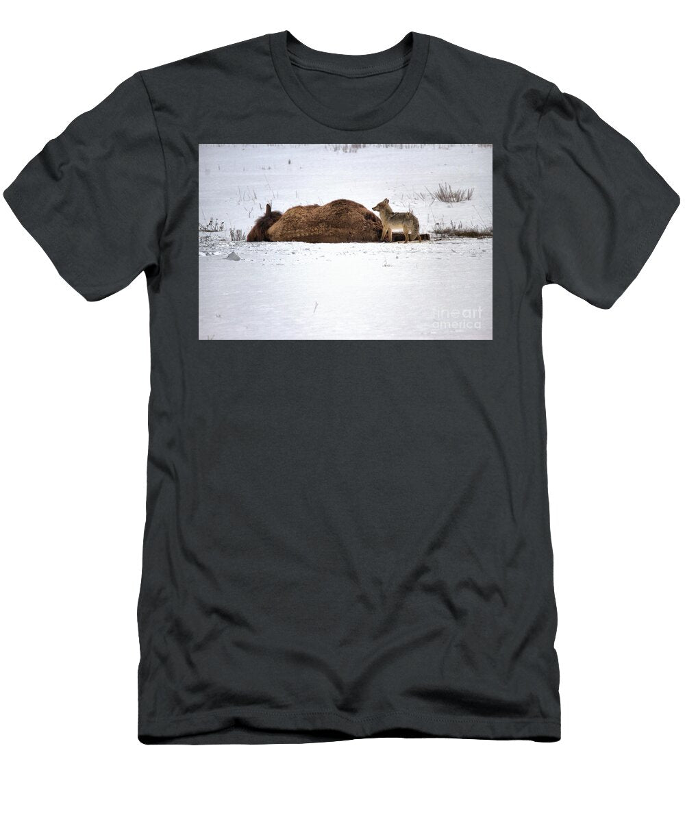 Sniffing the Bison Carcass Adam Jewell T-Shirt