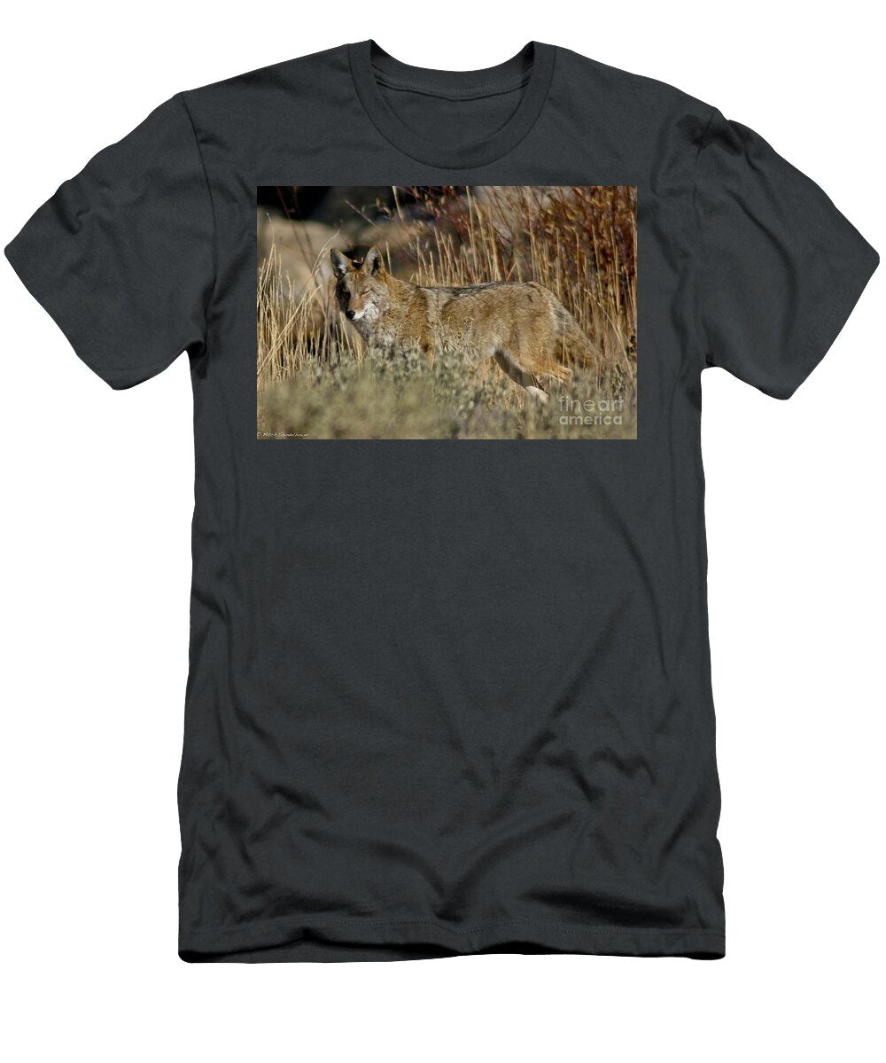 Soaking Up the Sun Mitch Shindelbower T-Shirt